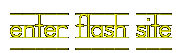 enter flash site  