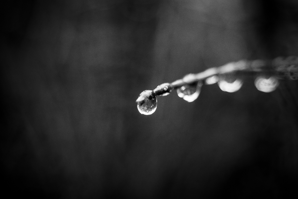 Raindrops about to freeze 3