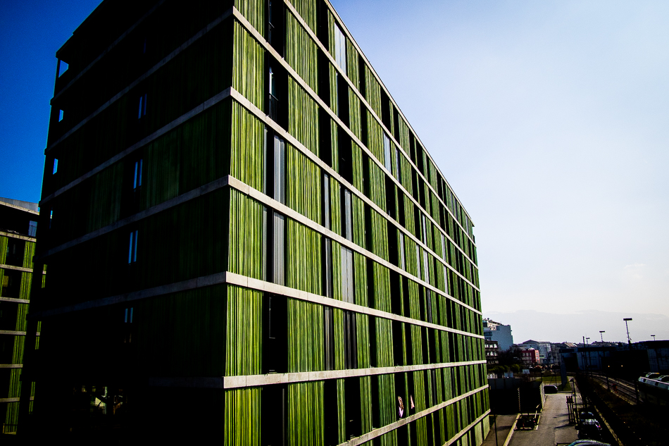 20150318-P3180014