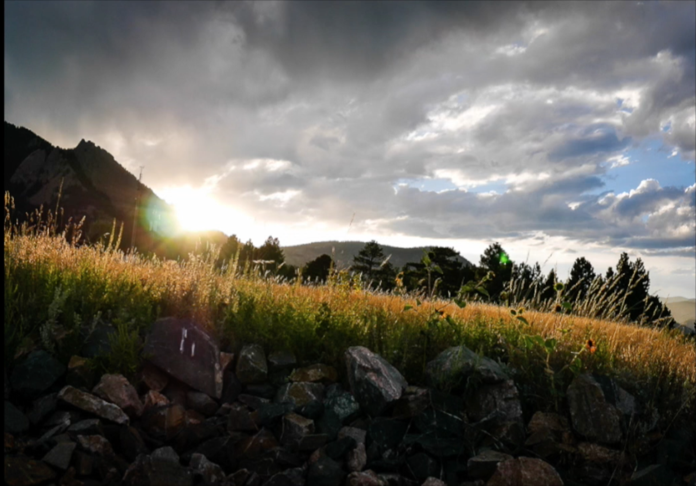 Screen Shot 2018-02-06 at 10.24.08 PM